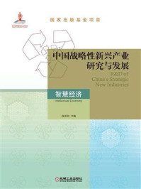 《中国战略性新兴产业研究与发展：智慧经济》-孙泽红