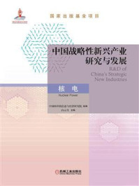 《中国战略性新兴产业研究与发展：核电》-中国核科技信息与经济研究院