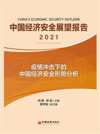 《中国经济安全展望报告（2021）》-苏剑