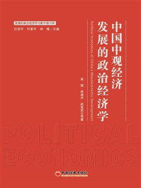 《中国中观经济发展的政治经济学研究》-高煜