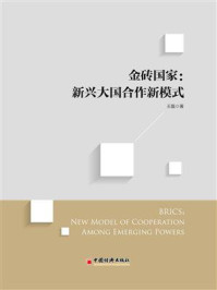 《金砖国家：新兴大国合作新模式》-王磊