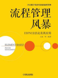 《流程管理风暴：EBPM方法论及其应用》-王磊