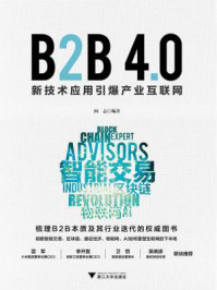 《B2B 4.0：新技术应用引爆产业互联网》-阎志
