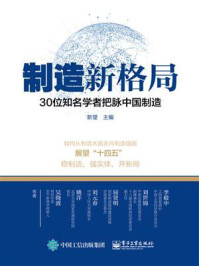 《制造新格局——30位知名学者把脉中国制造》-新望