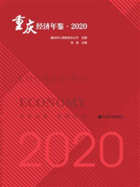 《重庆经济年鉴（2020）》-张波