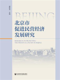 《北京市促进民营经济发展研究》-盛继洪