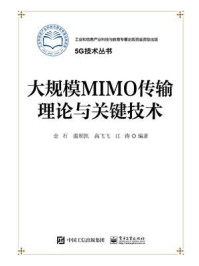 《大规模MIMO传输理论与关键技术》-金石