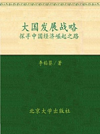 《大国发展战略：探寻中国经济崛起之路》-李稻葵