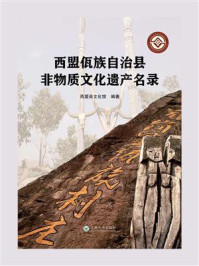 《西盟佤族自治县非物质文化遗产名录》-西盟佤族自治县文化馆
