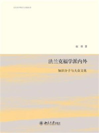 《法兰克福学派内外：知识分子与大众文化》-赵勇