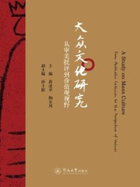 《大众文化研究—从审美批评到价值观视野》-陶东风,蒋述卓