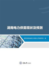《湖南电力供需现状及预测》-国网湖南省电力有限公司编写组