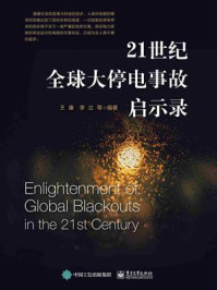 《21世纪全球大停电事故启示录》-王康