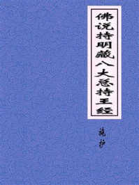 《佛说持明藏八大总持王经》-施护