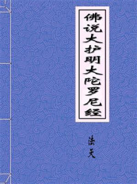 《佛说大护明大陀罗尼经》-宋中印土沙门法天