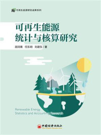 《可再生能源统计与核算研究》-胡润青
