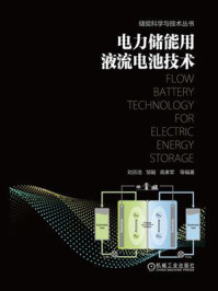 《电力储能用液流电池技术》-刘宗浩