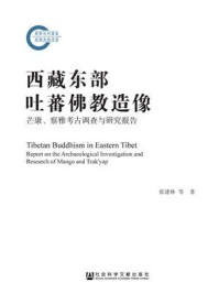 《西藏东部吐蕃佛教造像：芒康、察雅考古调查与研究报告》-席琳
