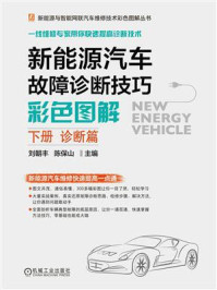 《新能源汽车故障诊断技巧彩色图解（下册 诊断篇）》-刘朝丰