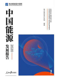 《中国能源发展报告 2020》-电力规划设计总院