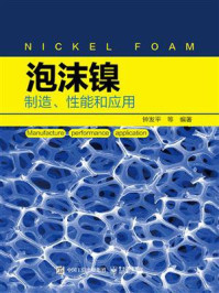 《泡沫镍——制造、性能和应用》-钟发平