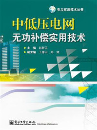 《中低压电网无功补偿实用技术》-赵新卫