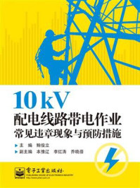 《10kV配电线路带电作业常见违章现象与预防措施》-鲍俊立