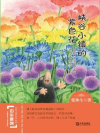 《峡谷小镇的紫色花（中华原创幻想儿童文学大系）》-张秋生