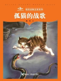 《孤猫的战歌》-牧铃