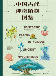 《中国古代神奇植物图鉴》-五色神石