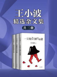 《王小波精选杂文集（共三册）》-王小波