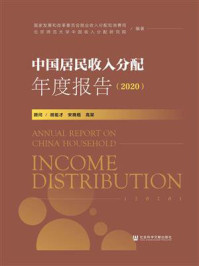 《中国居民收入分配年度报告（2020）》-北京师范大学中国收入分配研究院