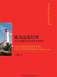 《孤岛还是灯塔：东北大型国企社会资本作用研究》-王文彬