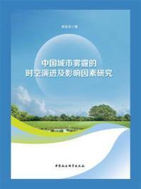 《中国城市雾霾的时空演进及影响因素研究》-熊欢欢