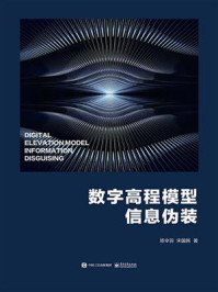 《数字高程模型信息伪装》-陈令羽