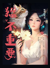 《猫不重要》-呢喃的火花