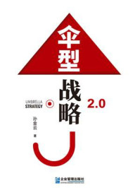 《伞型战略2.0》-孙金云