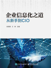 《企业信息化之道：从新手到CIO》-张明德