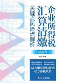 《企业所得税汇算清缴关键点风险点解析（2024年）》-屈震