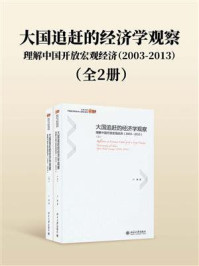 《大国追赶的经济学观察：理解中国开放宏观经济(2003-2013)（全2册）》-卢锋