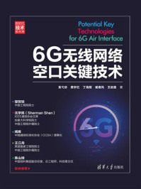 《6G无线网络空口关键技术》-袁弋非