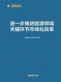 《进一步推进能源领域关键环节市场化改革》-王仲颖