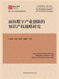 《面向数字产业创新的知识产权战略研究》-王黎萤