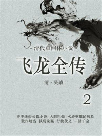 《清代章回体小说：飞龙全传（2）》-吴璿