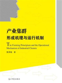 《产业集群形成机理与运行机制》-甄翠敏