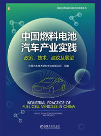 《中国燃料电池汽车产业实践：政策、技术、建议及展望》-中国汽车技术研究中心有限公司