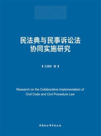 《民法典与民事诉讼法协同实施研究》-王德新