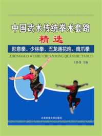 《中国武术传统拳术套路精选：：形意拳、少林拳、五龙通花炮、鹰爪拳》-丁传伟