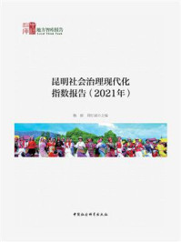 《昆明社会治理现代化指数报告（2021年）》-杨皕