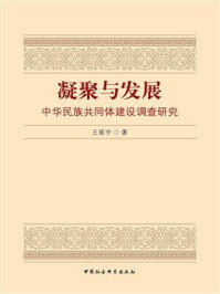 《凝聚与发展：中华民族共同体建设调查研究》-王延中